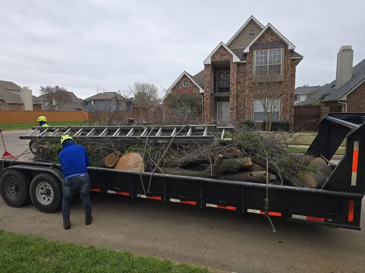 Expert Tree Fertilization with proper safety equipment in Melvin